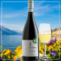 Preview: Custoza DOC Ca' Vegar