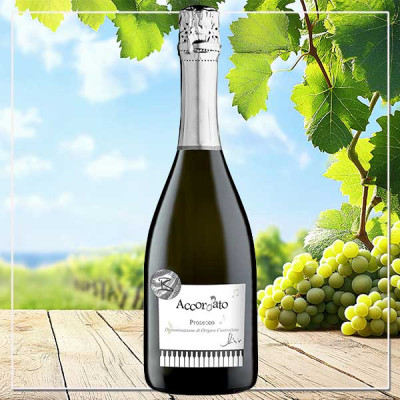 Accordato Prosecco Spumante Brut DOC von Livio Bruni