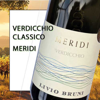 Verdicchio Classico Meridi