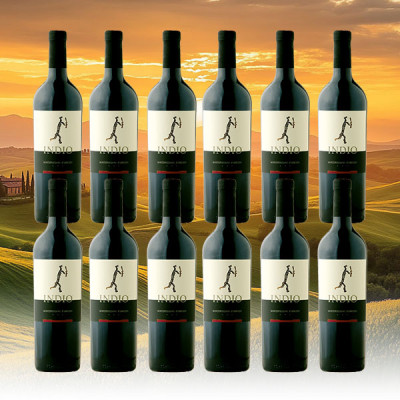 Preview: 12er - Sparpaket - Montepulciano Indio 2019 – Weingut Claudio Bove (Abruzzen)