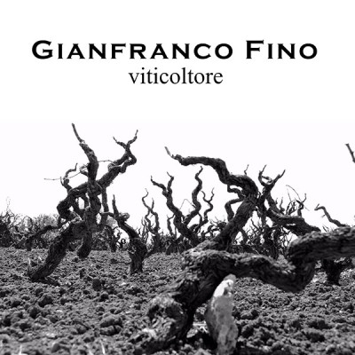 Preview: Gianfranco Fino - Primitivo Salento 2022 Sé Preview: Gianfranco Fino - Primitivo Salento 2022 Sé
