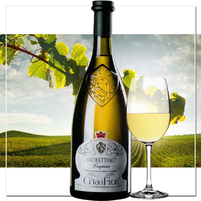 Lugana Brolettino | Premium italienischer Weißwein kaufen