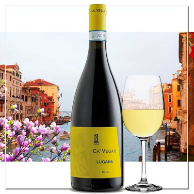 Lugana Ca' Ve Gar von Castelnuovo | Premium italienischer Weißwein kaufen