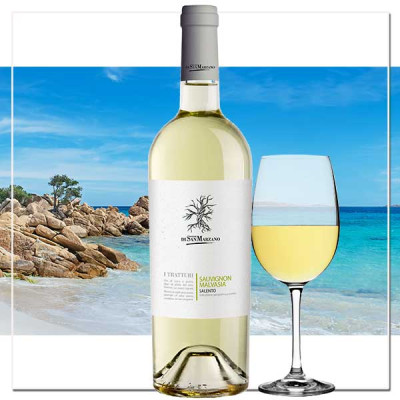Sauvignon Malvasia Salento - Frischer Weißwein aus Apulien | Cantine San Marzano