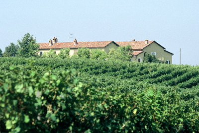 Gavi di Gavi Spumante Brut Roverello (Broglia)