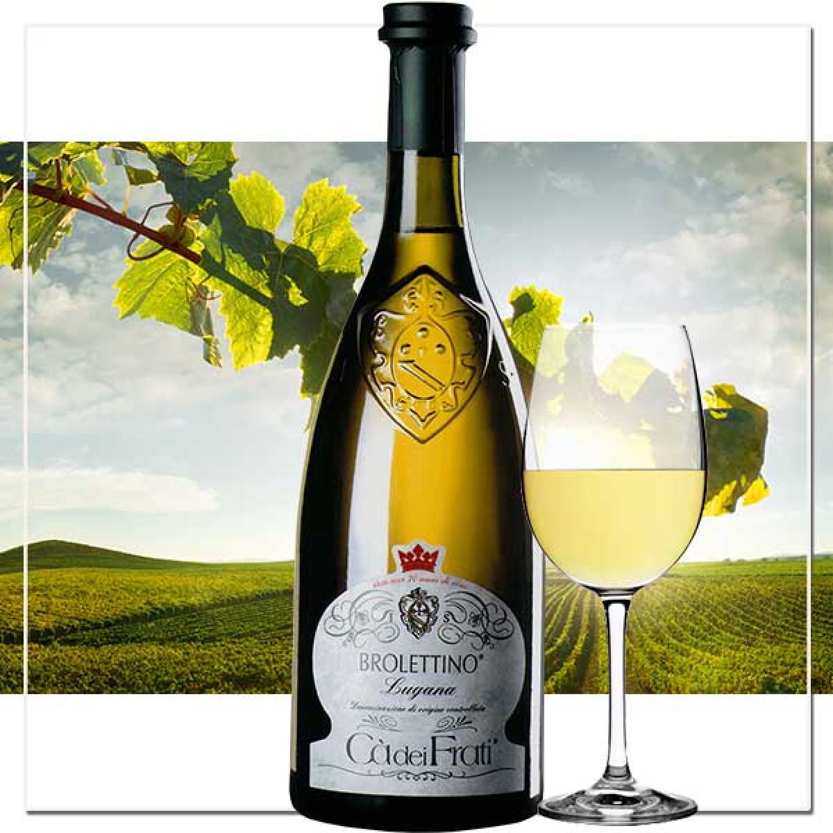 Lugana Brolettino | Premium italienischer Weißwein kaufen