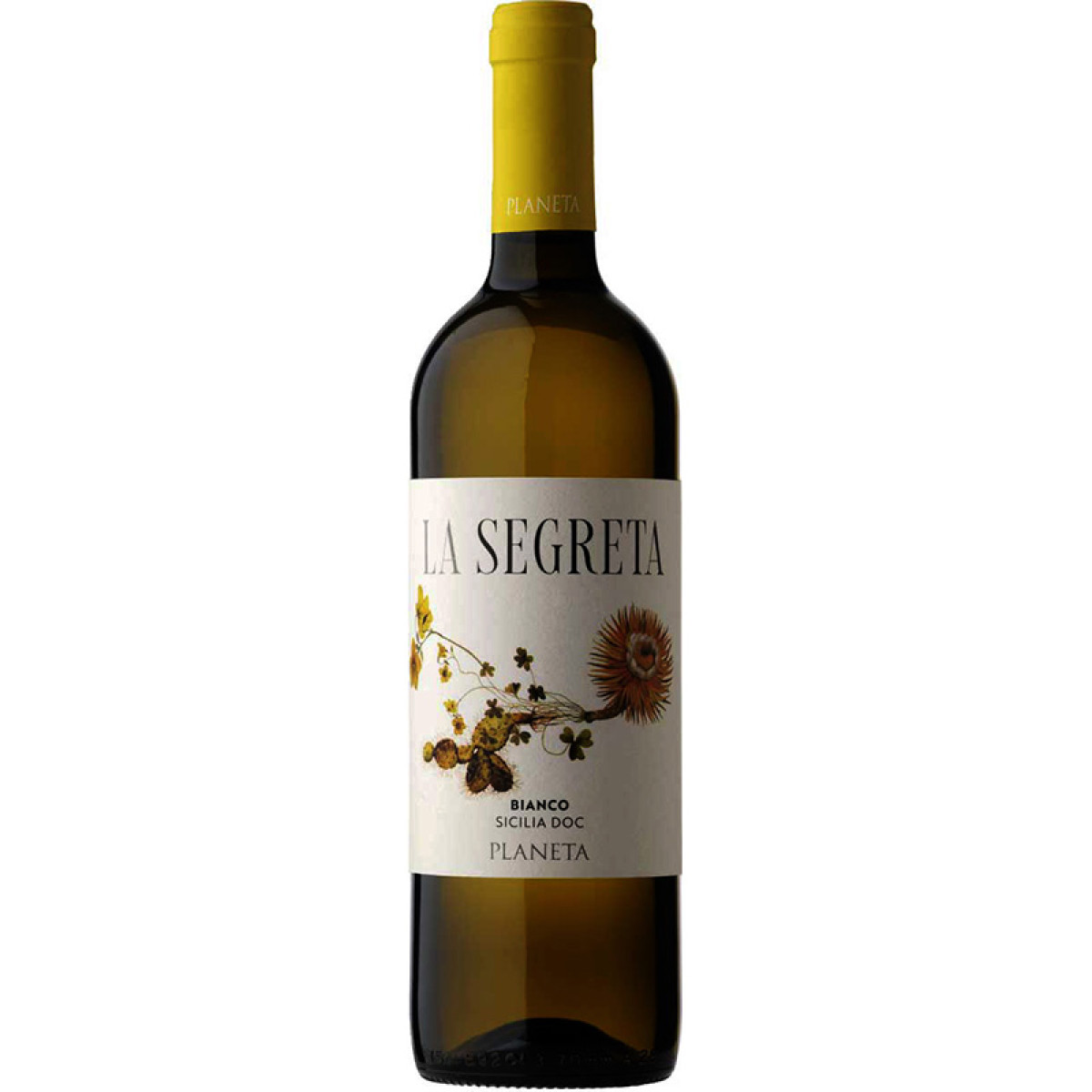 La Segreta Bianco 2024