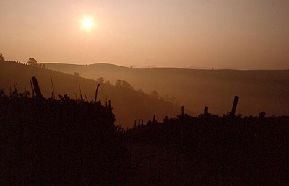 Barbaresco "La Casa in Collina" (Vite Colte)